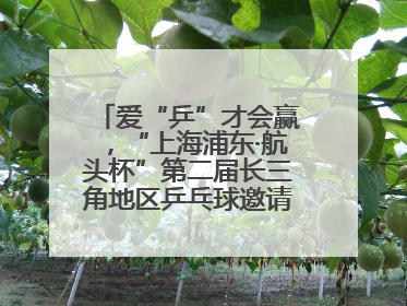 爱“乒”才会赢，“上海浦东·航头杯”第二届长三角地区乒乓球邀请赛举行