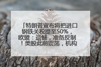 特朗普宣布将把进口钢铁关税提至50%，欧盟：遗憾，准备反制！美股此前震荡，机构：美元正进入熊市