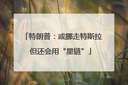 特朗普：或挪走特斯拉 但还会用“星链”