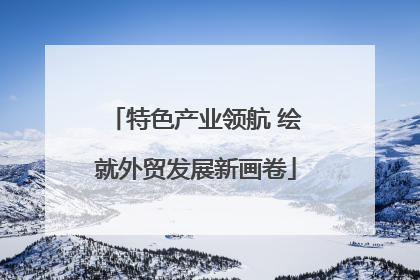 特色产业领航 绘就外贸发展新画卷