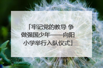 牢记党的教导 争做强国少年——向阳小学举行入队仪式