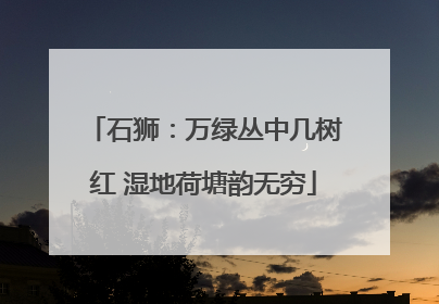 石狮：万绿丛中几树红 湿地荷塘韵无穷