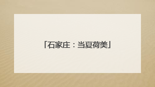 石家庄：当夏荷美