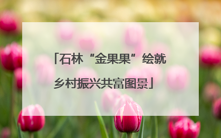 石林“金果果”绘就乡村振兴共富图景