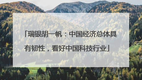 瑞银胡一帆：中国经济总体具有韧性，看好中国科技行业