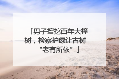 男子擅挖百年大樟树，检察护绿让古树“老有所依”