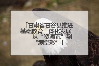 甘肃省甘谷县推进基础教育一体化发展——从“资源荒”到“满堂彩”