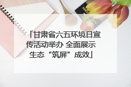 甘肃省六五环境日宣传活动举办 全面展示生态“筑屏”成效