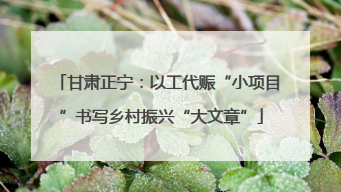 甘肃正宁：以工代赈“小项目”书写乡村振兴“大文章”