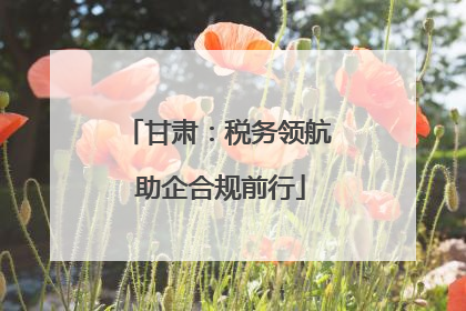 甘肃：税务领航 助企合规前行