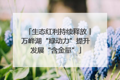 生态红利持续释放丨万峰湖“绿动力”提升发展“含金量”