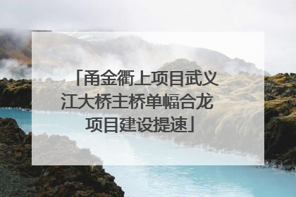 甬金衢上项目武义江大桥主桥单幅合龙 项目建设提速