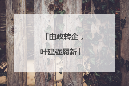 由政转企，叶建强履新