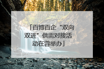 百博百企“双向双进”供需对接活动在蓉举办