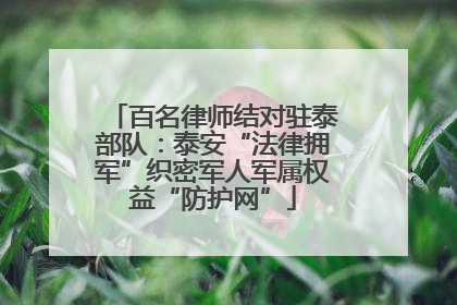 百名律师结对驻泰部队：泰安“法律拥军”织密军人军属权益“防护网”