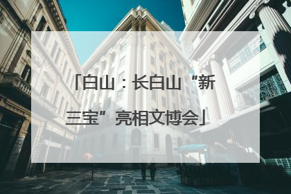 白山：长白山“新三宝”亮相文博会