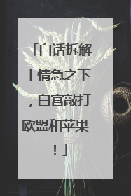 白话拆解丨情急之下，白宫敲打欧盟和苹果！
