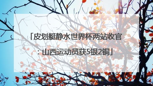 皮划艇静水世界杯两站收官：山西运动员获5银2铜