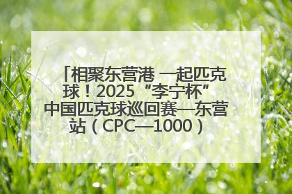 相聚东营港 一起匹克球！2025“李宁杯”中国匹克球巡回赛—东营站（CPC—1000）暨“好运山东”黄河口匹克球公开赛落幕