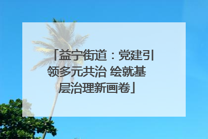 益宁街道：党建引领多元共治 绘就基层治理新画卷