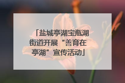 盐城亭湖宝瓶湖街道开展“善育在亭湖”宣传活动