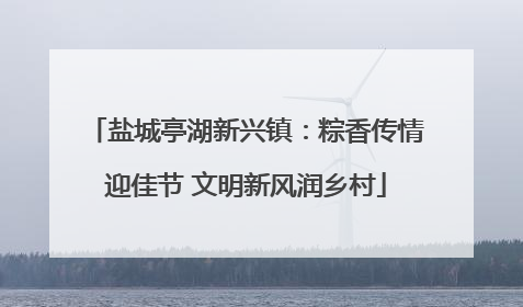 盐城亭湖新兴镇：粽香传情迎佳节 文明新风润乡村