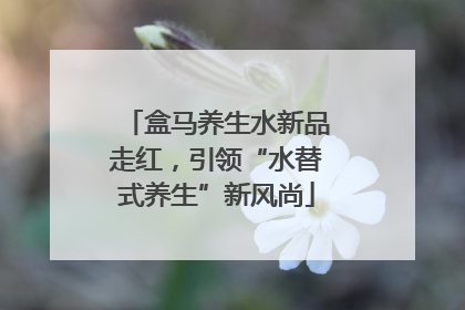 盒马养生水新品走红，引领“水替式养生”新风尚
