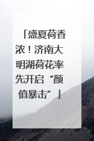 盛夏荷香浓！济南大明湖荷花率先开启“颜值暴击”