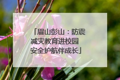 眉山彭山：防震减灾教育进校园 安全护航伴成长