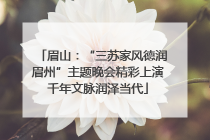 眉山：“三苏家风德润眉州”主题晚会精彩上演千年文脉润泽当代