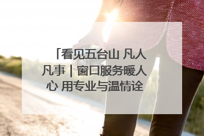 看见五台山 凡人凡事｜窗口服务暖人心 用专业与温情诠释责任担当