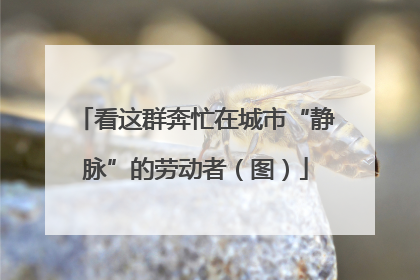看这群奔忙在城市“静脉”的劳动者（图）