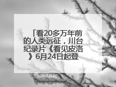 看20多万年前的人类远征，川台纪录片《看见皮洛》6月24日起登陆央视