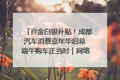 真金白银补贴！成都汽车消费嘉年华启幕 端午购车正当时｜网络中国节·端午