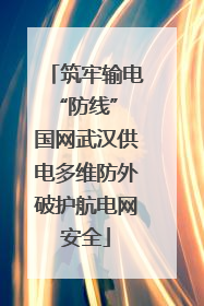 筑牢输电“防线” 国网武汉供电多维防外破护航电网安全