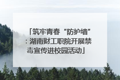 筑牢青春“防护墙”：湖南财工职院开展禁毒宣传进校园活动