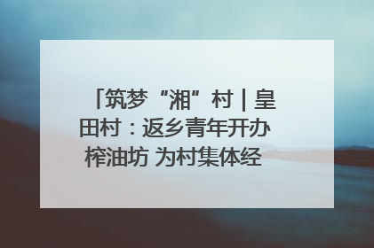 筑梦“湘”村｜皇田村：返乡青年开办榨油坊 为村集体经济“加油”