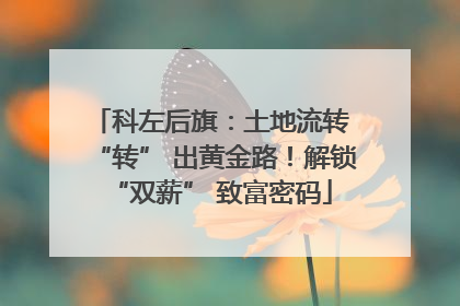 科左后旗：土地流转 “转” 出黄金路！解锁 “双薪” 致富密码