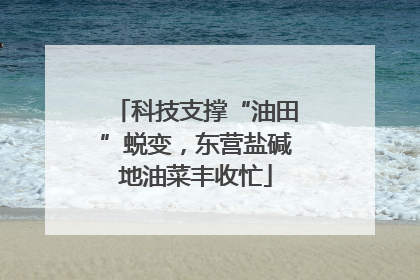 科技支撑“油田”蜕变，东营盐碱地油菜丰收忙