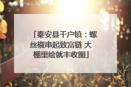 秦安县千户镇：螺丝椒串起致富链 大棚里绘就丰收图