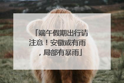 端午假期出行请注意！安徽或有雨，局部有暴雨