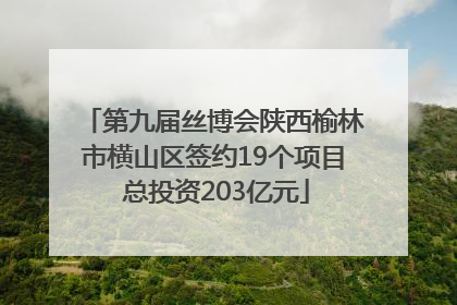 第九届丝博会陕西榆林市横山区签约19个项目 总投资203亿元