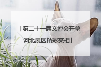 第二十一届文博会开幕 河北展区精彩亮相