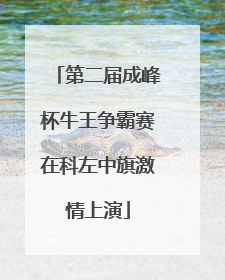 第二届成峰杯牛王争霸赛在科左中旗激情上演