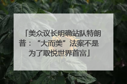 美众议长明确站队特朗普：“大而美”法案不是为了取悦世界首富