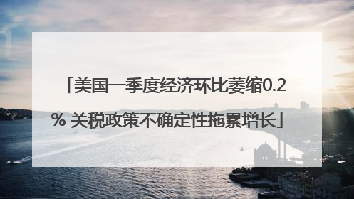 美国一季度经济环比萎缩0.2% 关税政策不确定性拖累增长