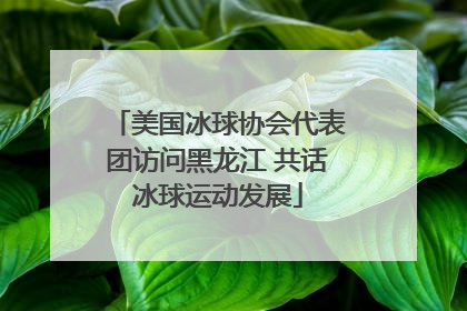 美国冰球协会代表团访问黑龙江 共话冰球运动发展