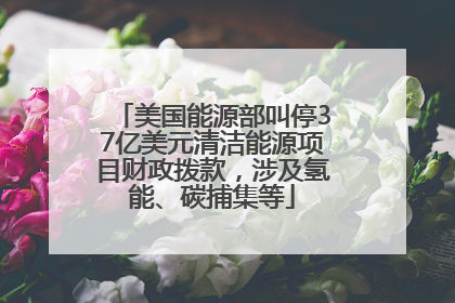 美国能源部叫停37亿美元清洁能源项目财政拨款，涉及氢能、碳捕集等