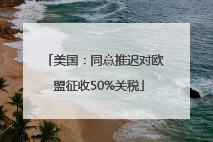 美国：同意推迟对欧盟征收50%关税