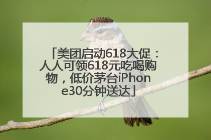 美团启动618大促：人人可领618元吃喝购物，低价茅台iPhone30分钟送达